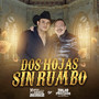 DOS HOJAS SIN RUMBO