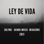 LEY DE VIDA (feat. Denok Music & Miausone)