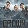 Grown (feat. Mattrix & Whiteout)