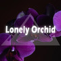 Lonely Orchid