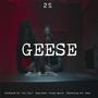 Geese (feat. Avi Twat) [Explicit]