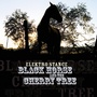 Black Horse and the Cherry Tree