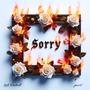 Sorry (Explicit)