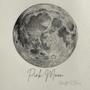 Pink Moon