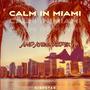 Calm in Miami Pt. 2 (Andato22 Remix)