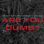 Are You Dumb? (Explicit)