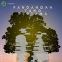 Pandangan Yang Pertama