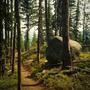 trailhead (Explicit)