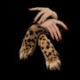 Cheetah Print (Explicit)