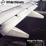 Wings For Flying