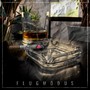 Flugmodus (Explicit)