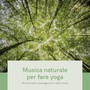 Musica naturale per fare yoga - Musicoterapia e paesaggi sonori della foresta