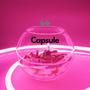 Capsule