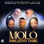 Molo Inhliziyo Yame (feat. Bitsow Rsa, BLACKSEYVN, Percy Sing & Saki98)