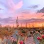 Sonoran Desert Drive (Explicit)