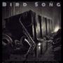 Bird Song