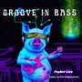 Groove in Bass