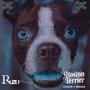 Boston Terrier (feat. Lil Indigo) [Explicit]