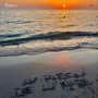 Lu rusciu de lu mare