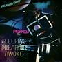 SLEEPING DREAMING AWOKE (Explicit)