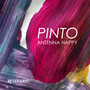 Pinto Remix EP