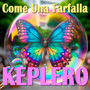 Keplero - Come una farfalla (Single)