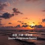 徐良_小凌 - 坏女孩(zoolor ProgHouse Remix)