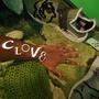 Clover 5