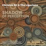 Shadow of Perception