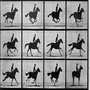 Canter
