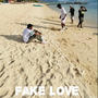 Fake Love