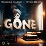 Gone (feat. Stoic Bliss, Lit Slick & Silma) [Explicit]