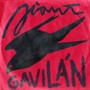 Gavilán