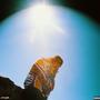4THESUN (Explicit)