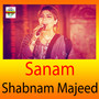 Sanam - Single