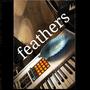 Feathers (feat. shaun williams piano)