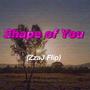 Shape of You (ZzaJ Flip)