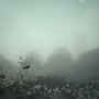 reverie