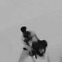 RANDORI