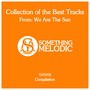 Collection of the Best Tracks From: We Are the Sun