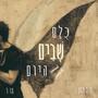 כולם שבים היום