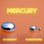 Mercury (feat. Forestxfire)