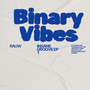 Binary Vibes (Extended Mix)