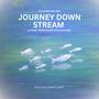 Journey Down Stream - Story Meditation for Children (Calm Before Bed)