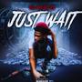 Just Wait (Explicit)