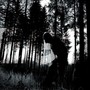 Ego (Explicit)