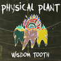 Wisdom Tooth