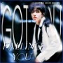 Falling You（mashup：Got You）