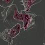 FADED IN LOVE (Explicit)