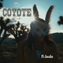 Coyote